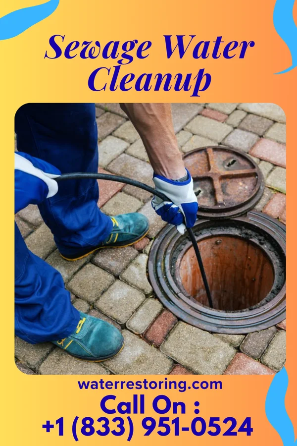 Sewage Water Cleanup in Garrison, TX