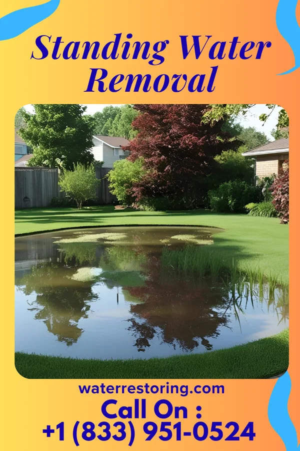 Standing Water Removal in Garrison, TX